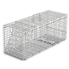 Humane Cat Trap Cage Catch Release Live Animal Rodent Cage Collapsible Galvanized Wire for Raccoons Beavers Groundhogs Foxes Armadillos